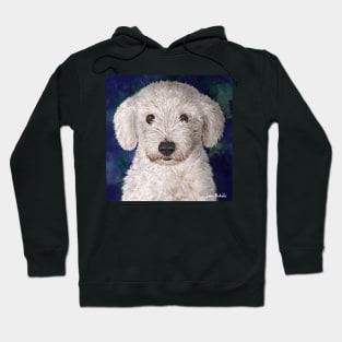 Painting of a Cute Fluffy White Maltipoo Looking at You Hoodie